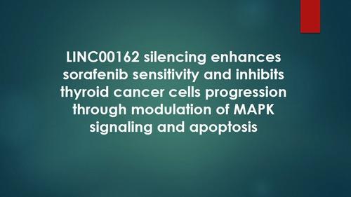 LINC00162 silencing enhances sorafenib sensitivity and inhibits thyroid cancer cells progression through modulation of MAPK signaling and apoptosis